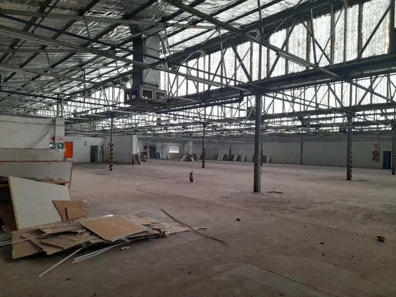 To Let Commercial Property for Rent in North End Eastern Cape